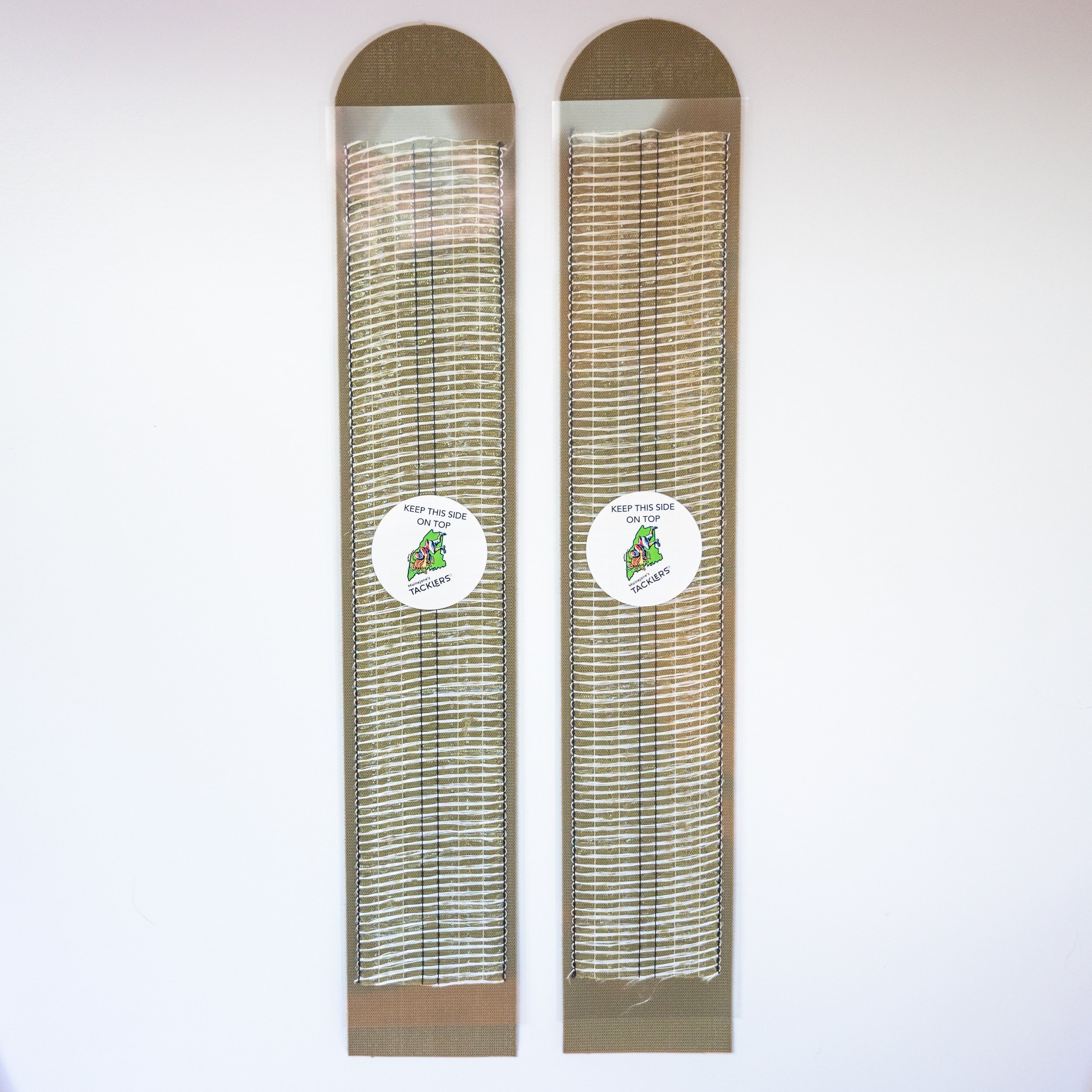 tick-7.jpg